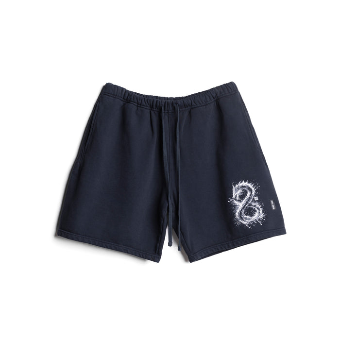flatlay LE Cotton Shorts in navy with dragon graphic design, front view