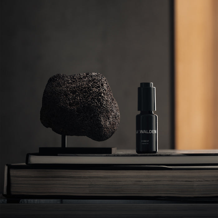 flatlay ASRV x Walden Lava Rock Essential Oil Diffuser in black on book, styled display