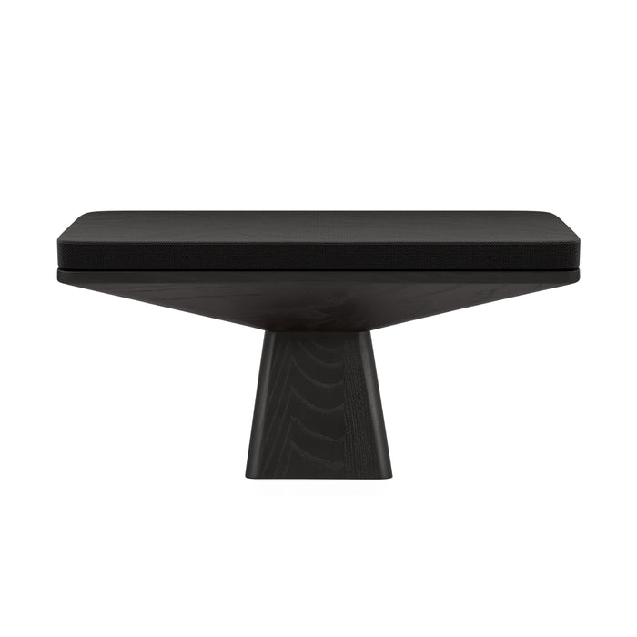 Magnetic Cushion