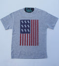 Flag Bull - S/S Toddler Tee - Gray