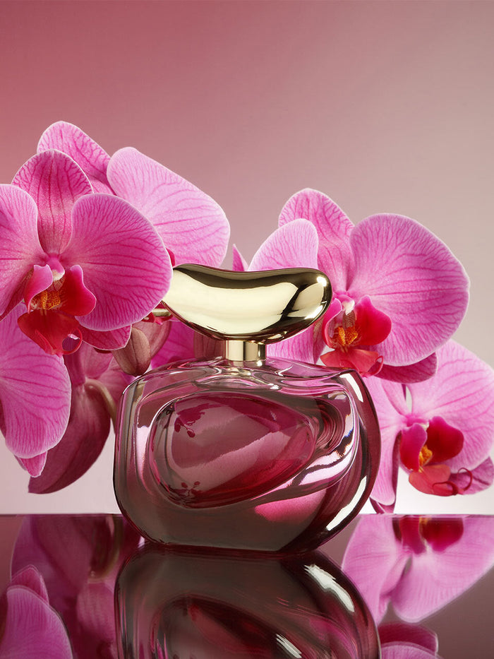 A pink Vince Camuto Illuminare Intensa 1.0 oz Eau de Parfum Spray bottle with a gold cap sits in front of vibrant pink orchid flowers, reflected on a glossy surface against a soft pink gradient background. Inspired by the delicate beauty of plum blossom, this feminine fragrance captures the essence of elegance and allure.