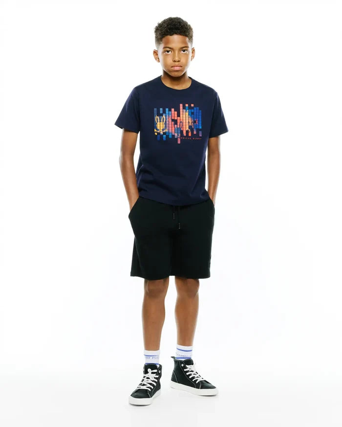 Kids Zander Graphic Tee in navy, featuring a classic fit and soft jersey fabric. A large, multicolor pixelated graphic with the Psycho Bunny skull logo and text is centered on the chest.